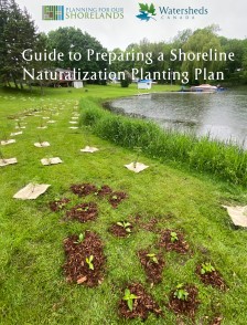 guide_to_preparing_a_shoreline_naturalization_planting_plan.jpg