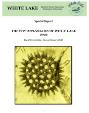 wlppwebsite014006.jpg