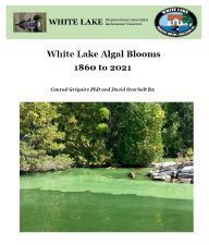 wlppwebsite014011.jpg