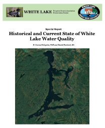 wlppwebsite015003.jpg
