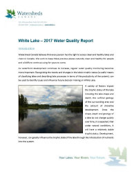wlppwebsite015008.jpg