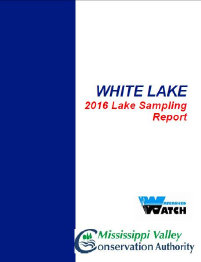 wlppwebsite015011.jpg
