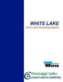 wlppwebsite015013.jpg