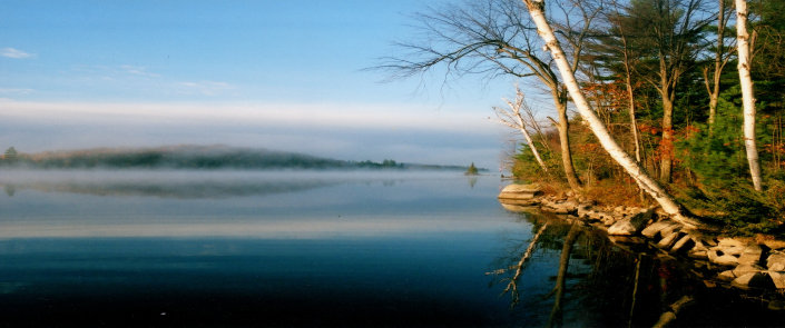 wlppwebsite001011.jpg